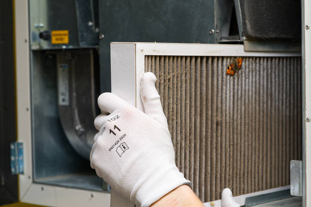 Best Commercial Air Duct Cleaning  in Elizabeth City, NC