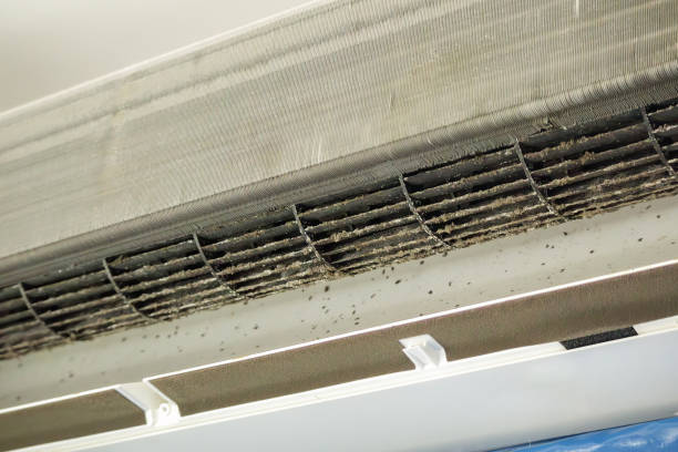 Best General Air Duct Cleaning  in Elizabeth City, NC