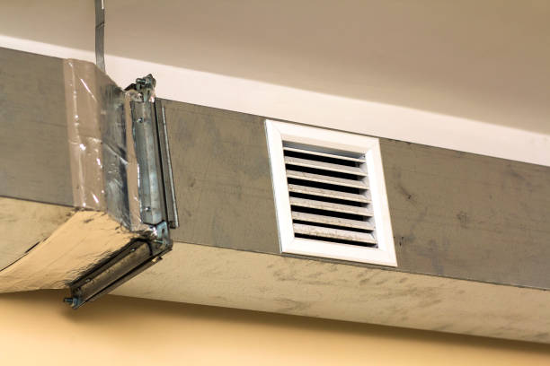 Best Air Duct Sanitizing Services  in Elizabeth City, NC